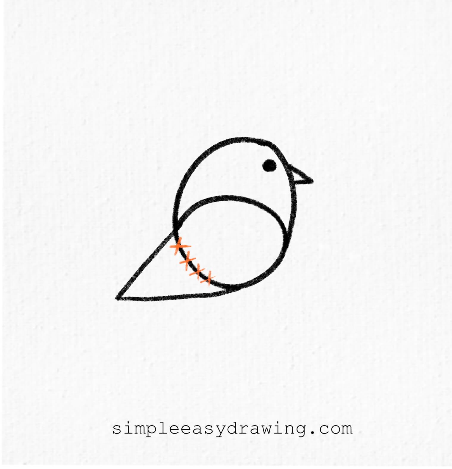 bird drawing
