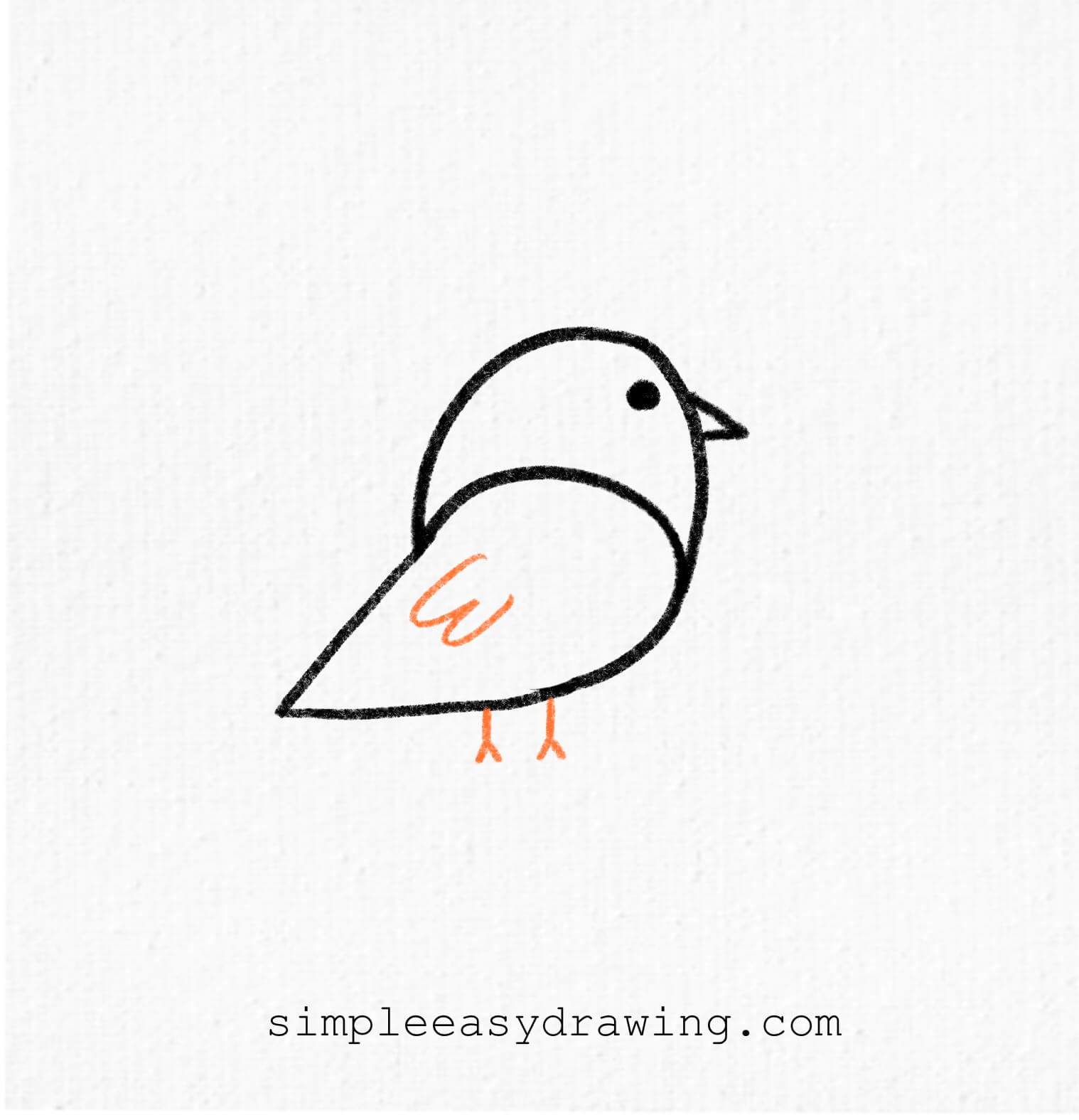 bird drawing