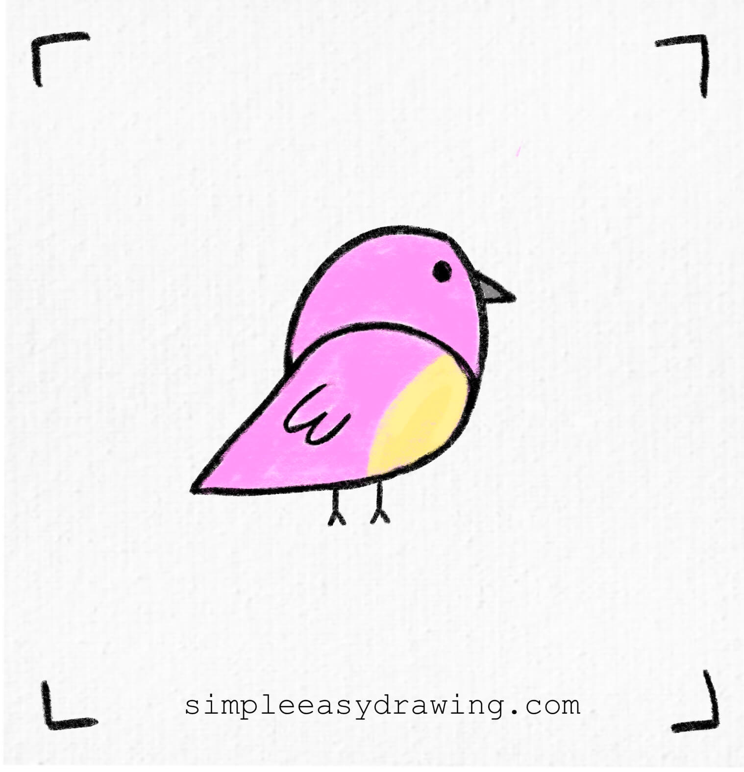 Bird drawing