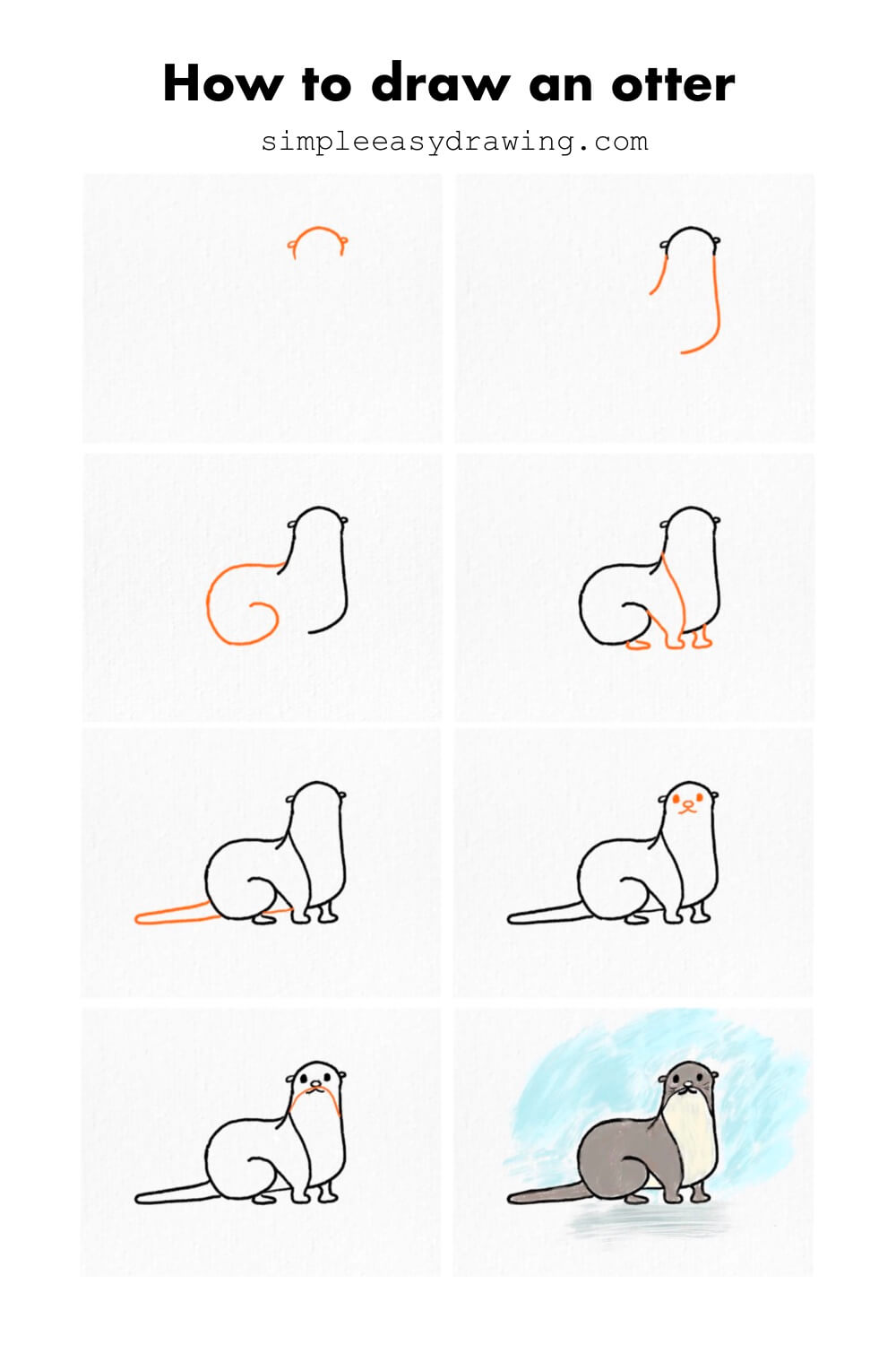 Steps on how to draw an otter