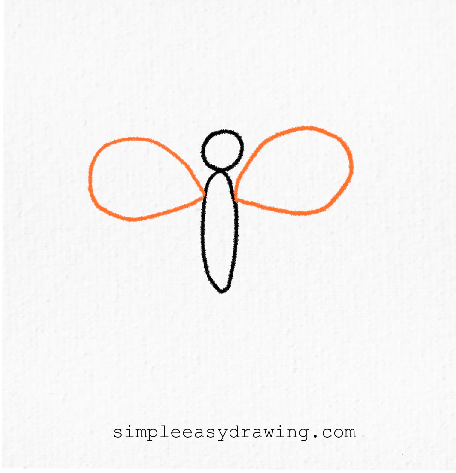 A drawing showing two large, stretched-out balloon-like loops on either side of the butterfly's body, forming the top wings.