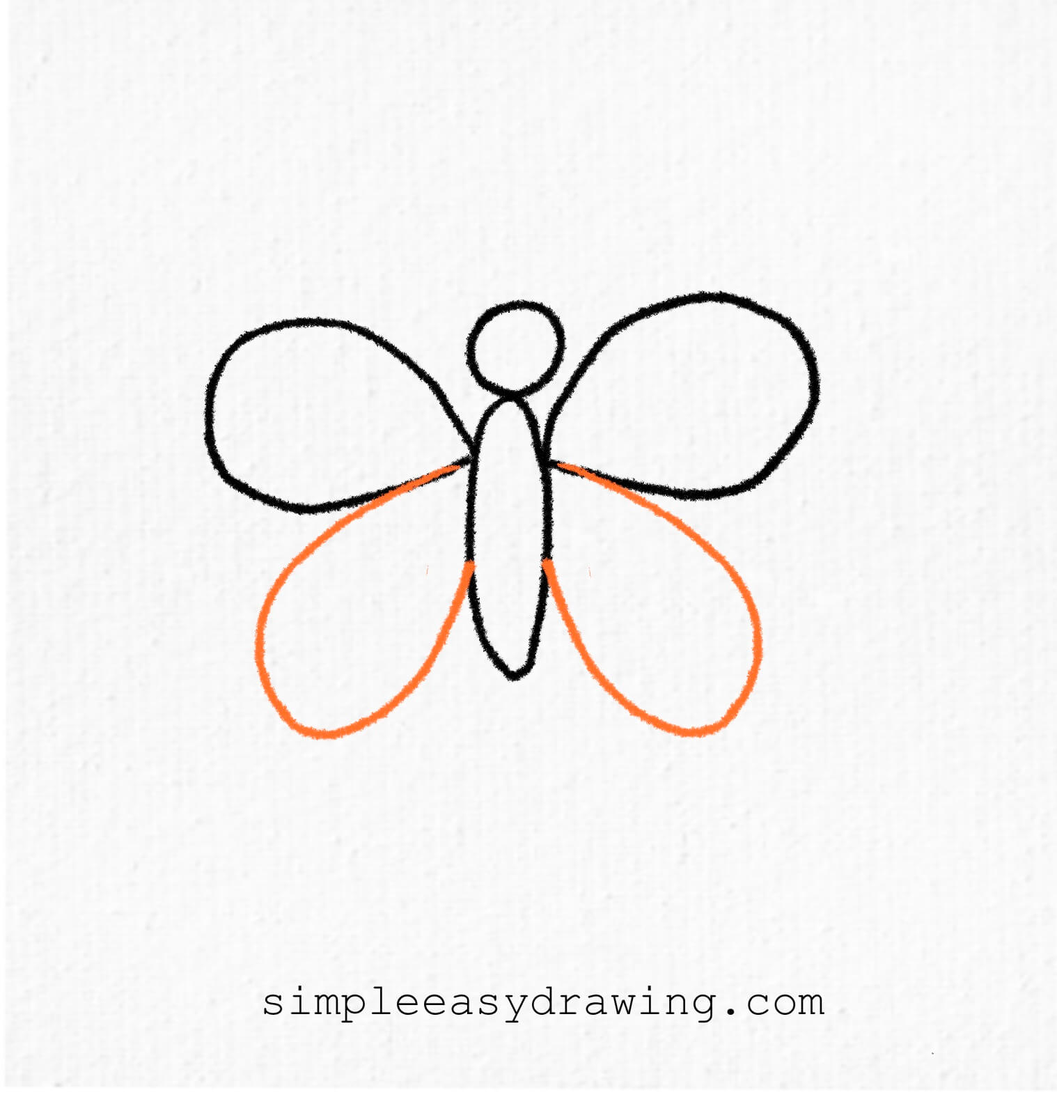 A drawing showing two slightly smaller loops under the top wings, curving outward and downward to form the bottom wings.
