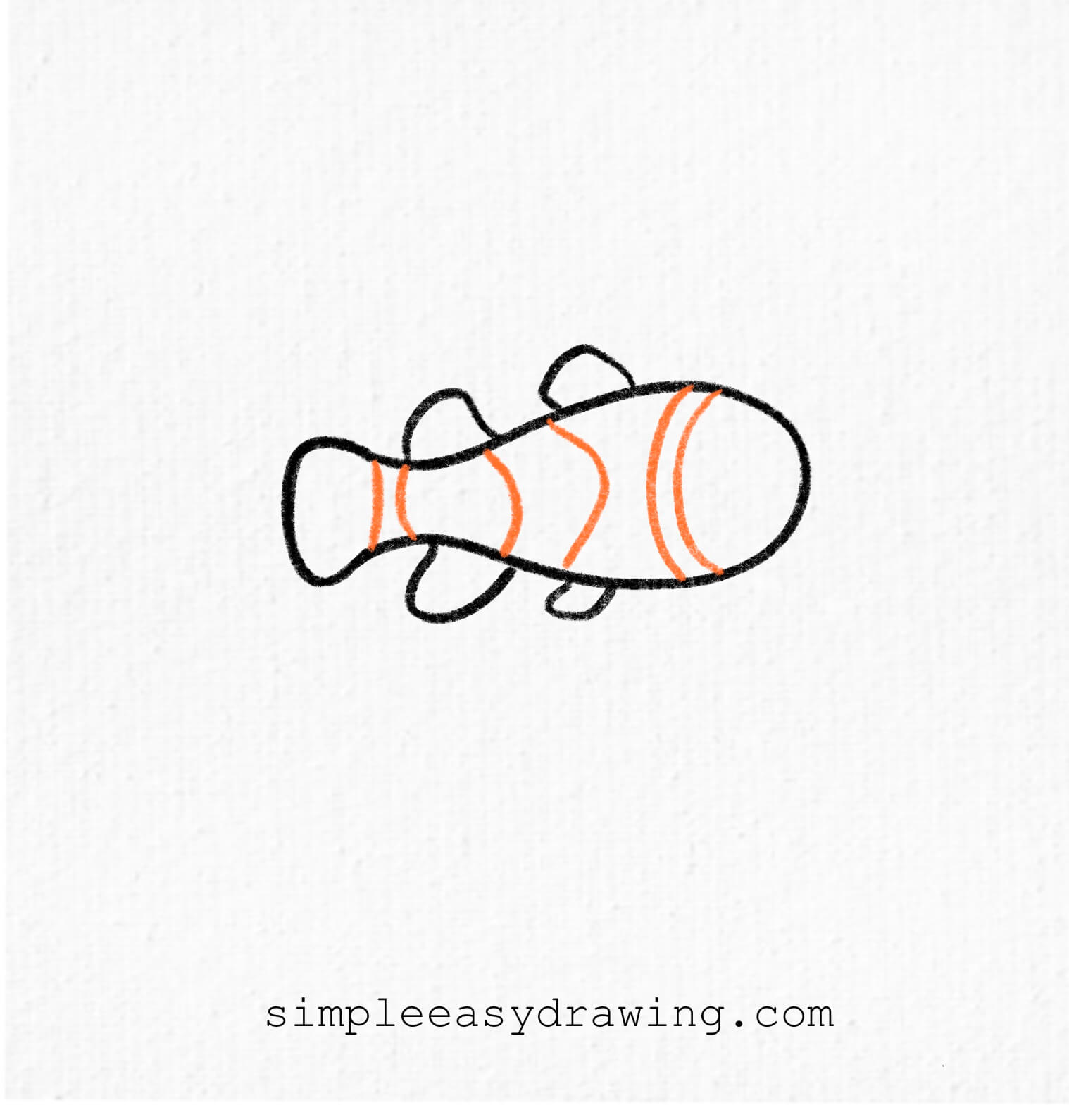 Draw three curved stripes across the body for the clownfish’s stripes.