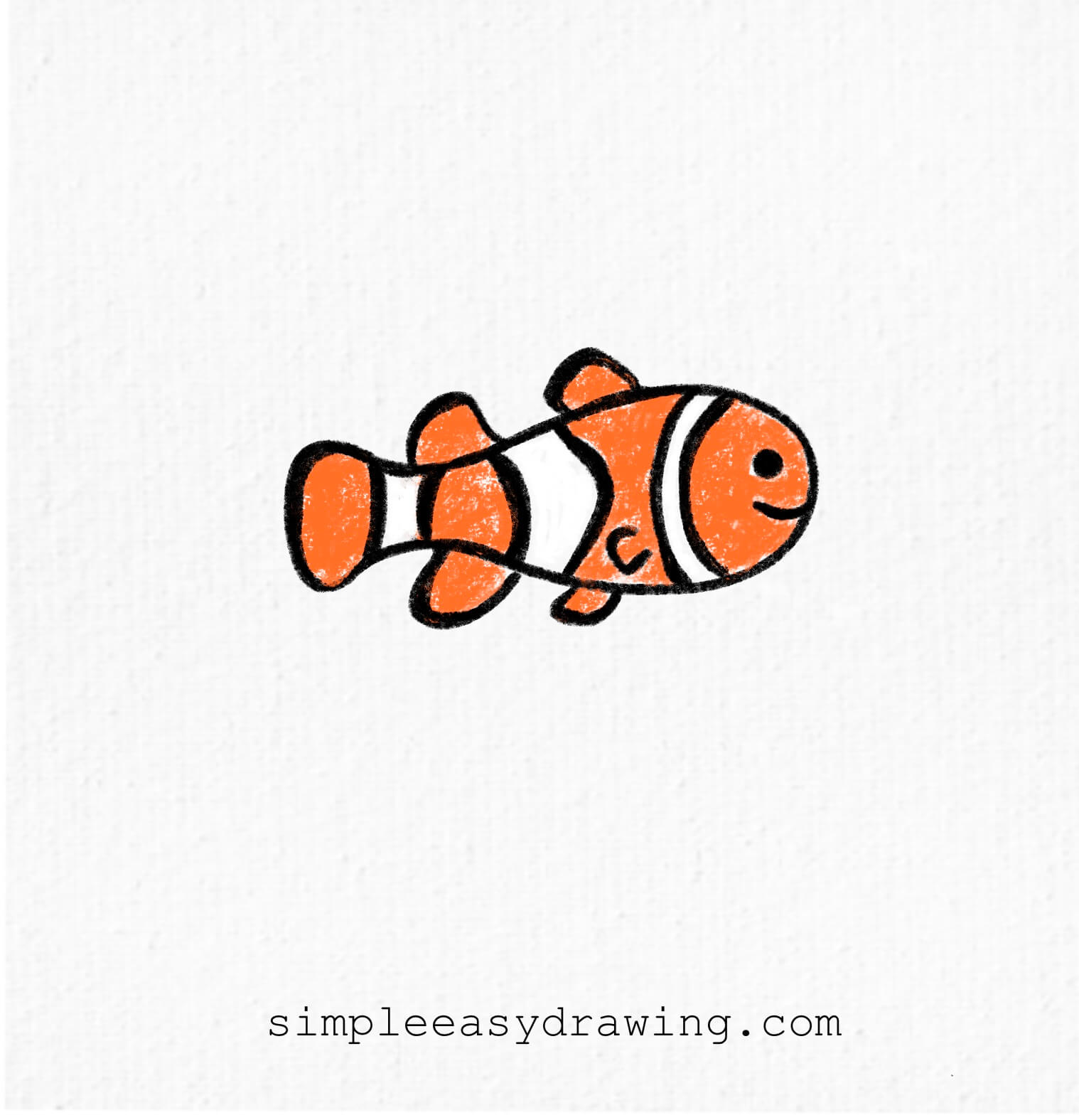 Colour drawing of clownfish