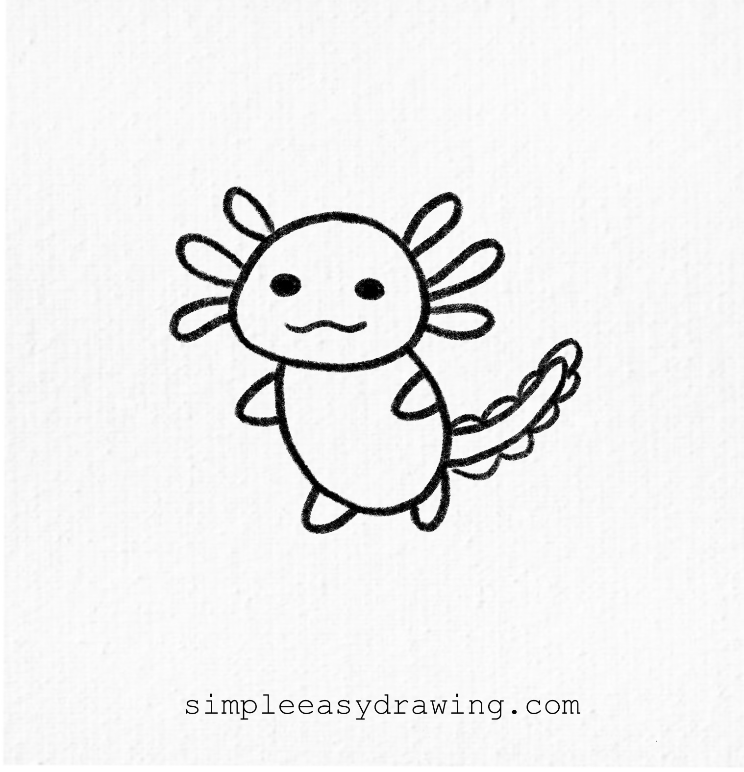 Axolotl drawing outline