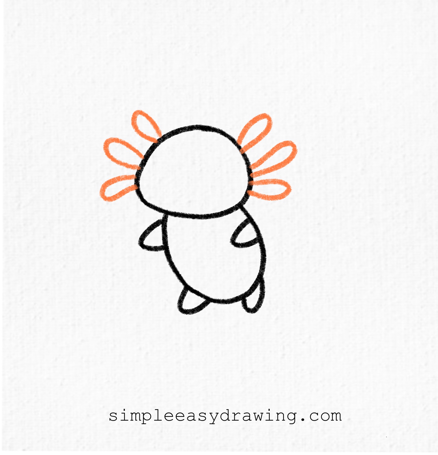 Step 4 - Add three curved frills on each side of the head to create the axolotl’s gills.
