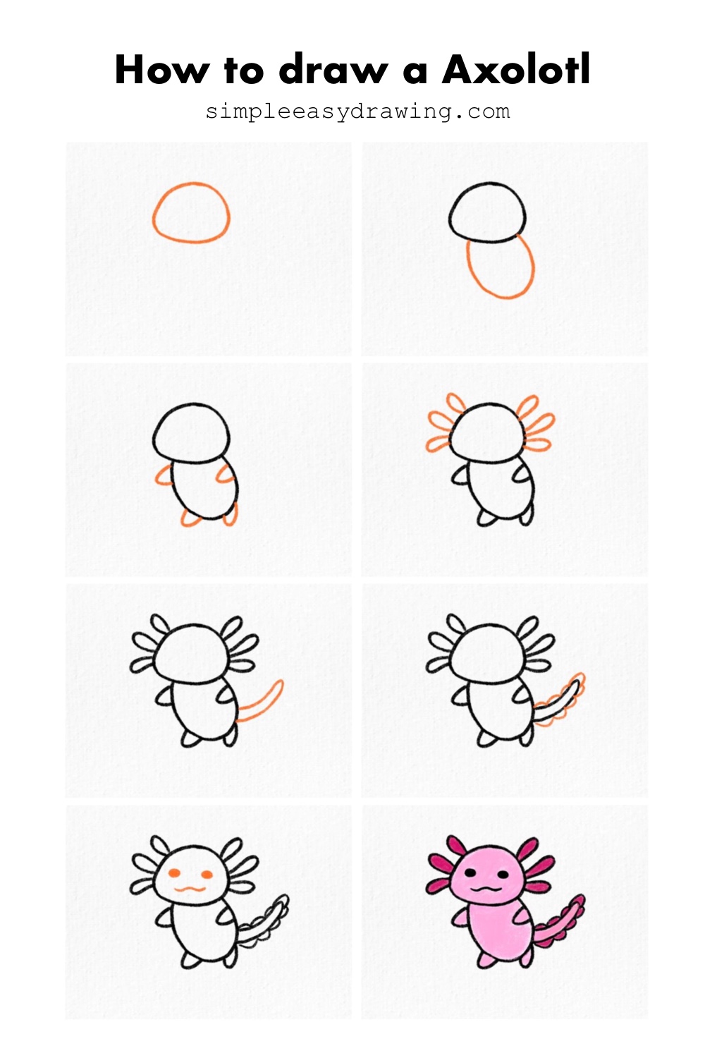 Steps on how to draw a axolot