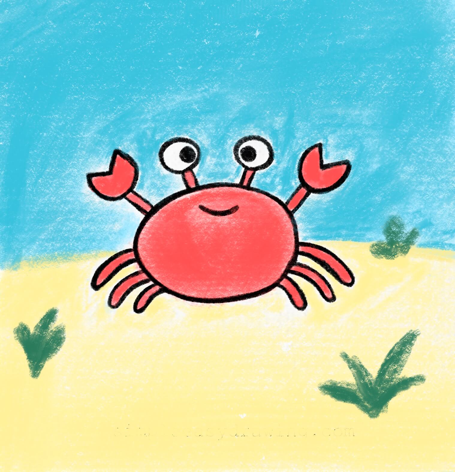 crab drawing in coolor