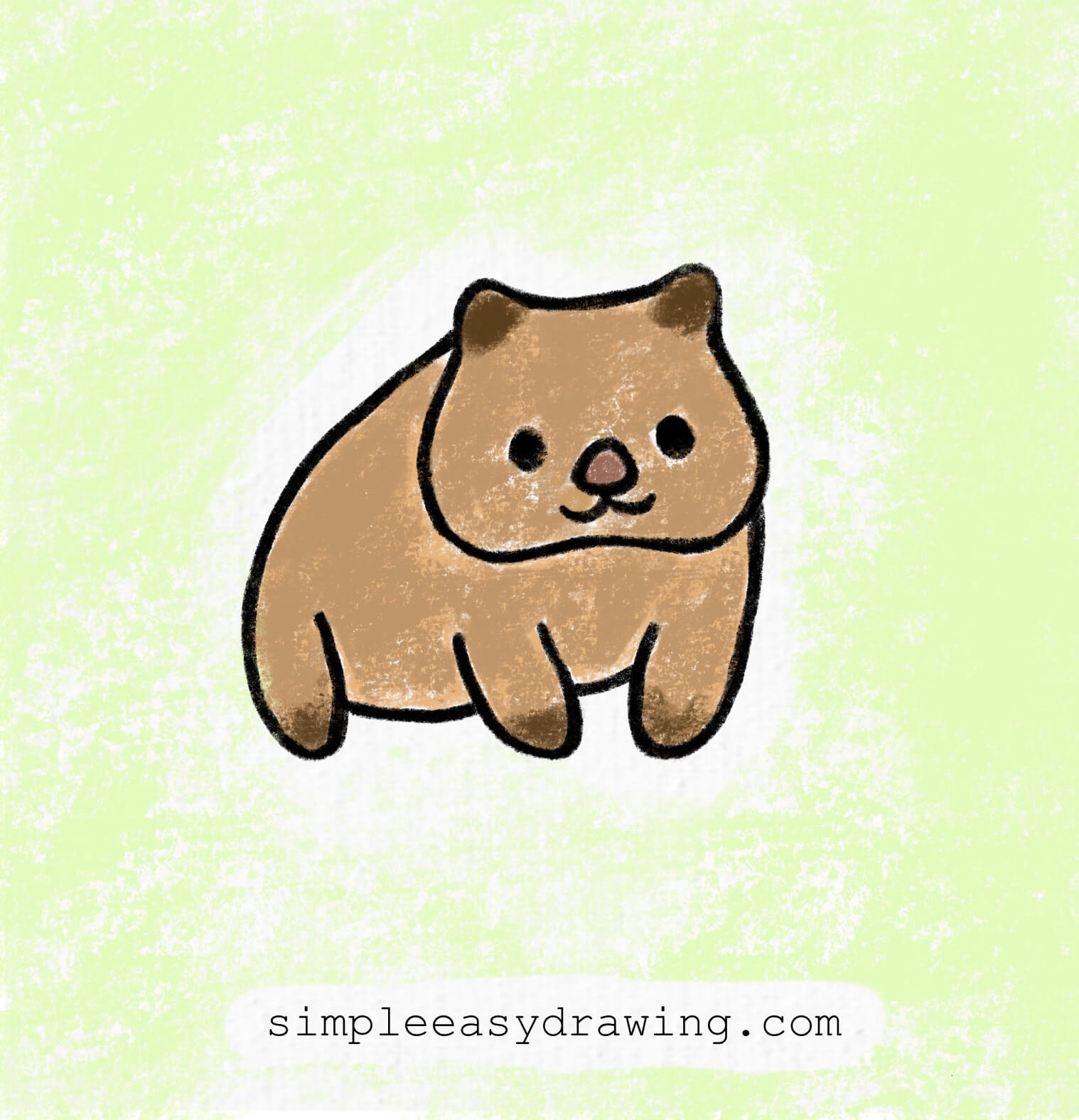 How to Draw a Wombat | Simple Easy Drawing