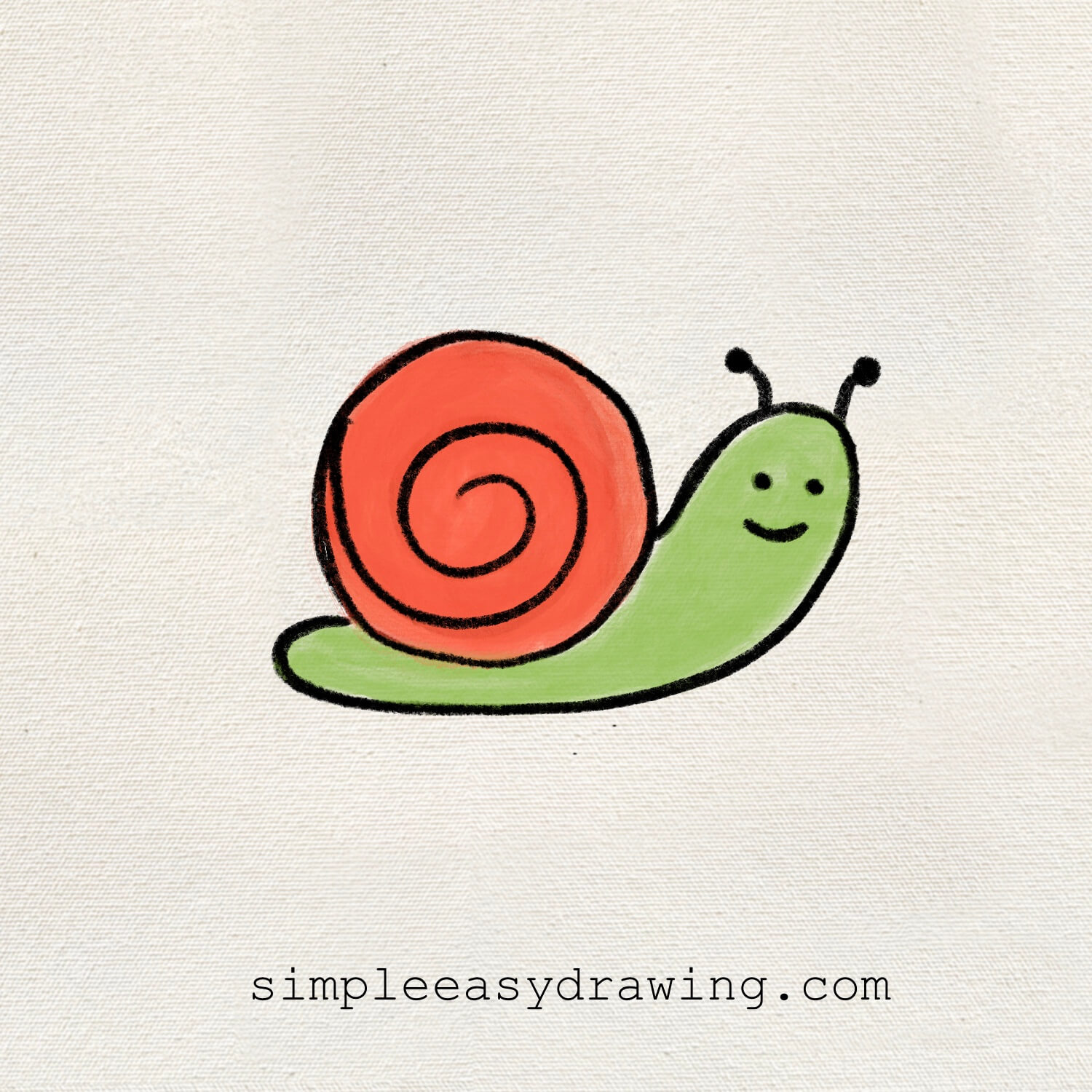 How to Draw a Snail Step by Step | Simple Easy Drawing