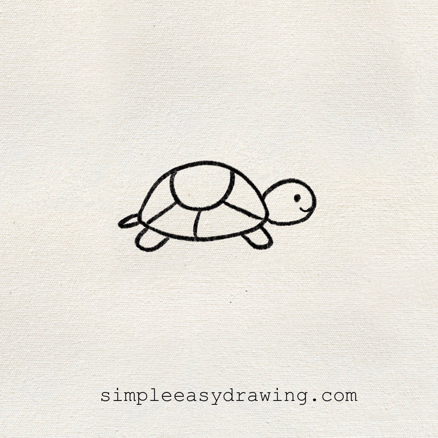 Turtle drawing outline