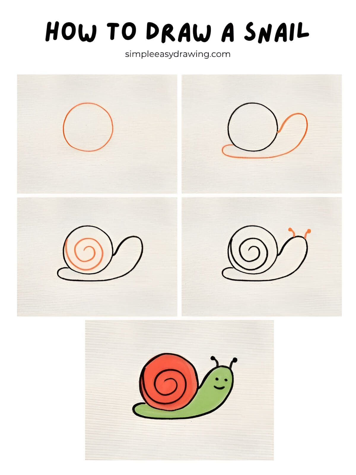 How to draw a snail step by step
