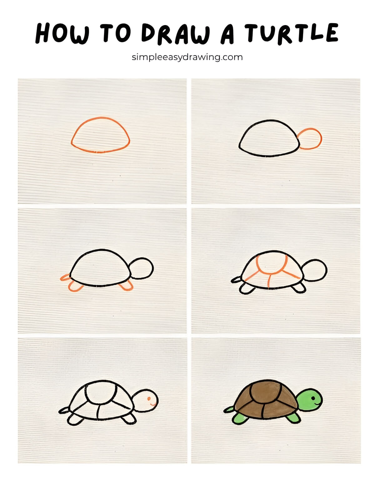 how to draw a turtle step by step