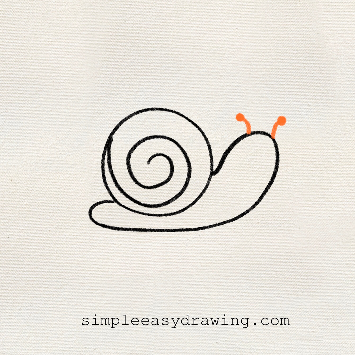 Two short antennae are added to the snail’s head, completing the outline.