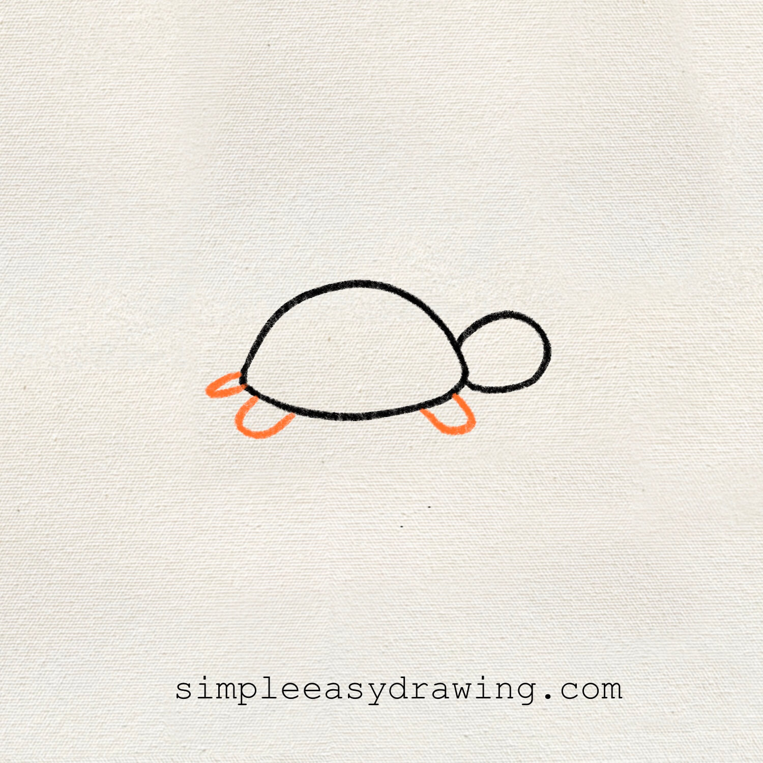 The turtle drawing now includes short oval shapes for the front legs and a tiny one for the tail.