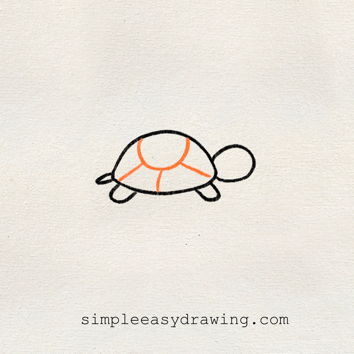 The turtle’s shell pattern is drawn