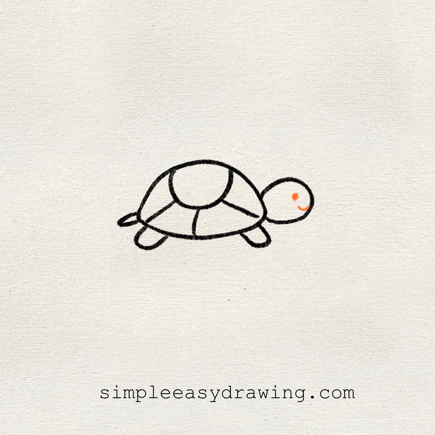 Turtle's face is drawn