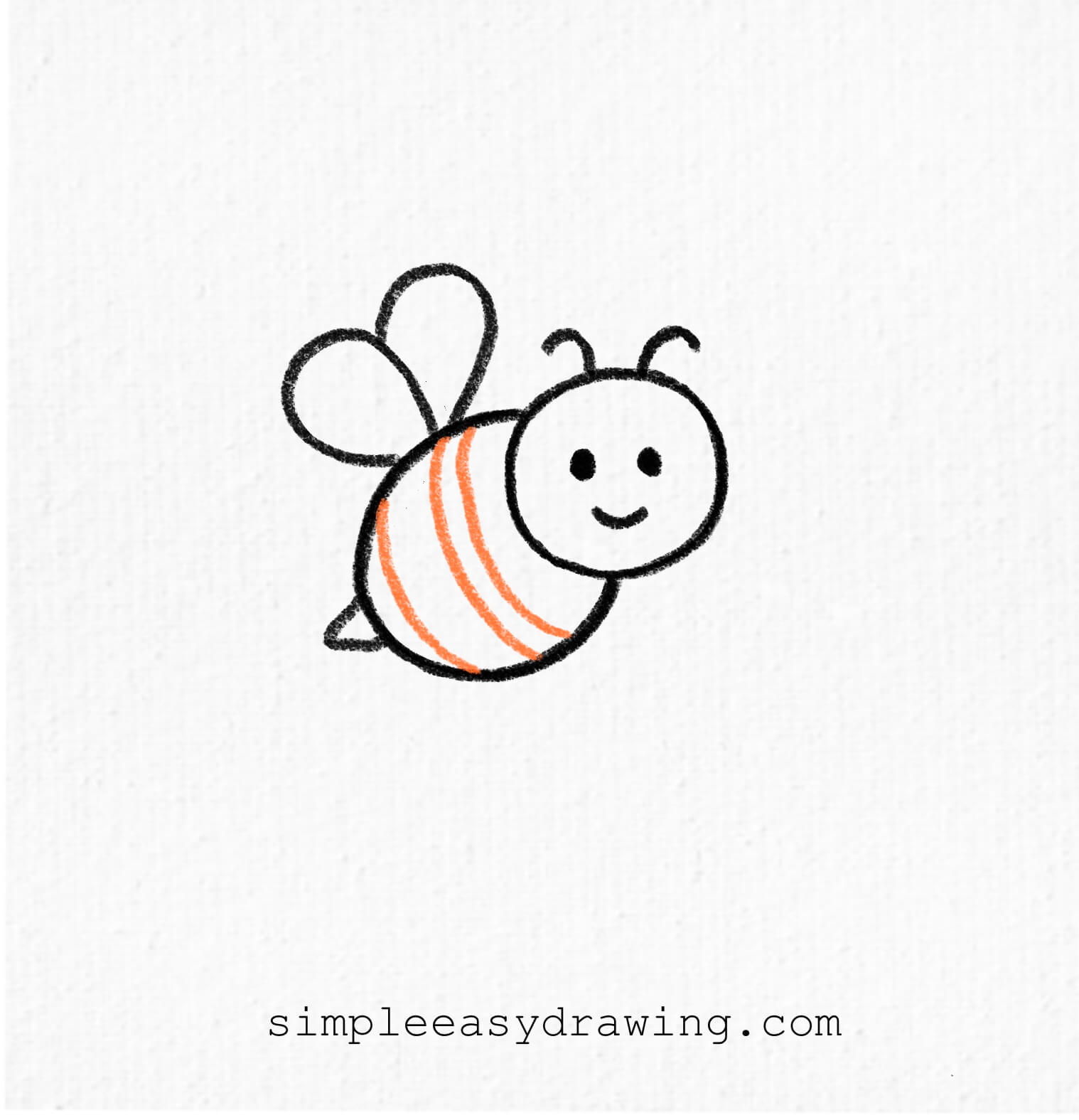 Curved stripes drawn across the bee’s oval body