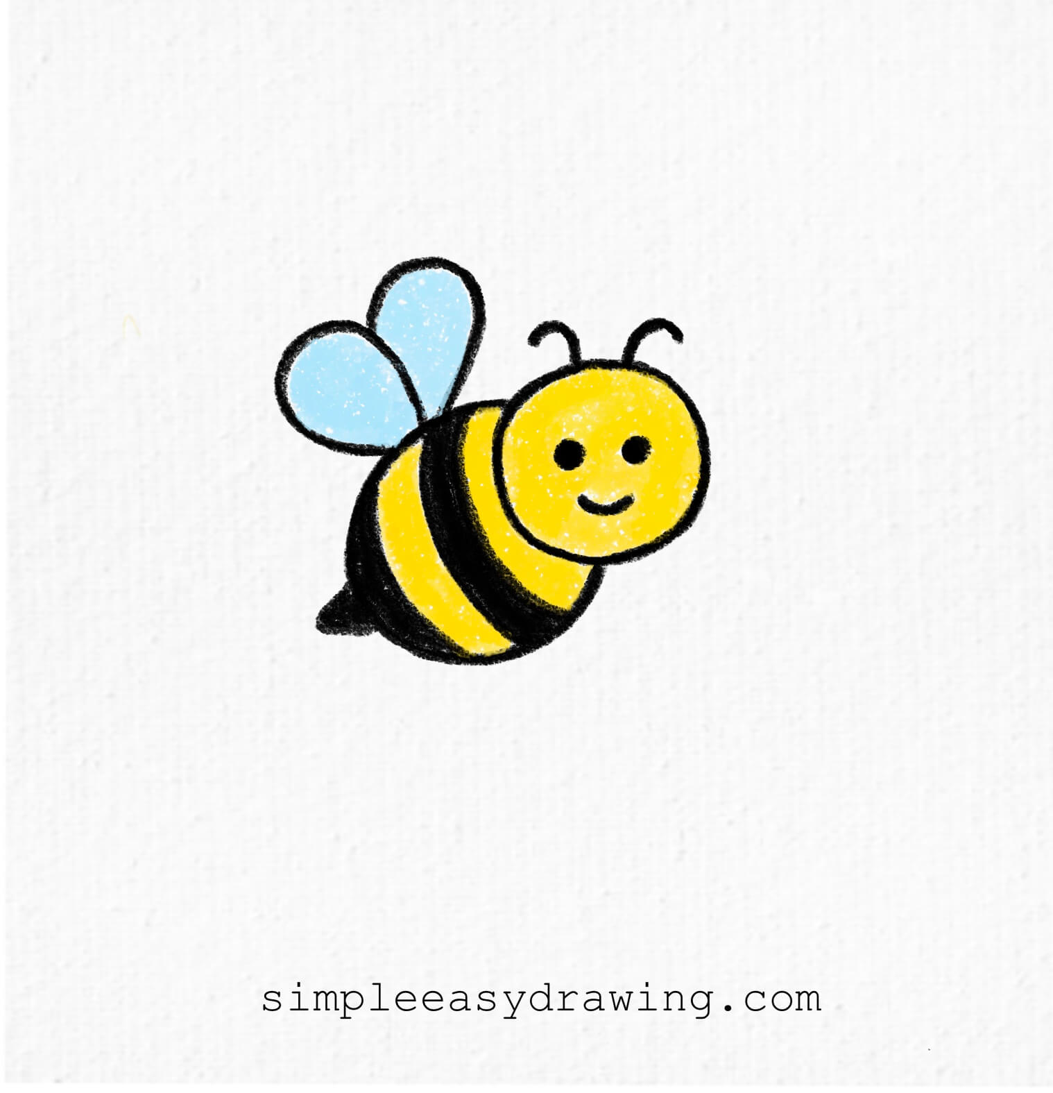 bee drawing