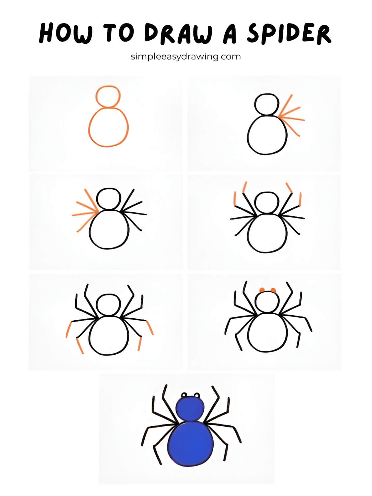 How To Draw A Spider Step By Step Simple Easy Drawing How To Draw A Spider Step By Step Simple Easy Drawing