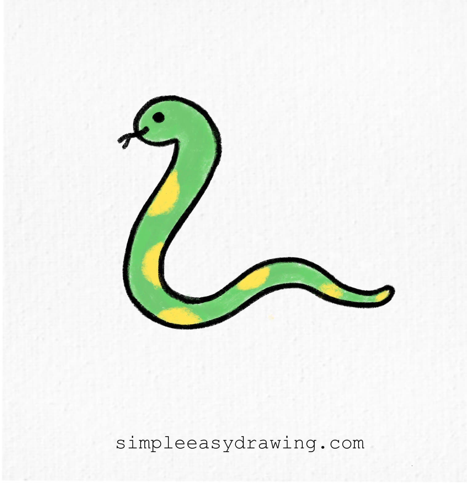 Snake drawing colored green and yellow