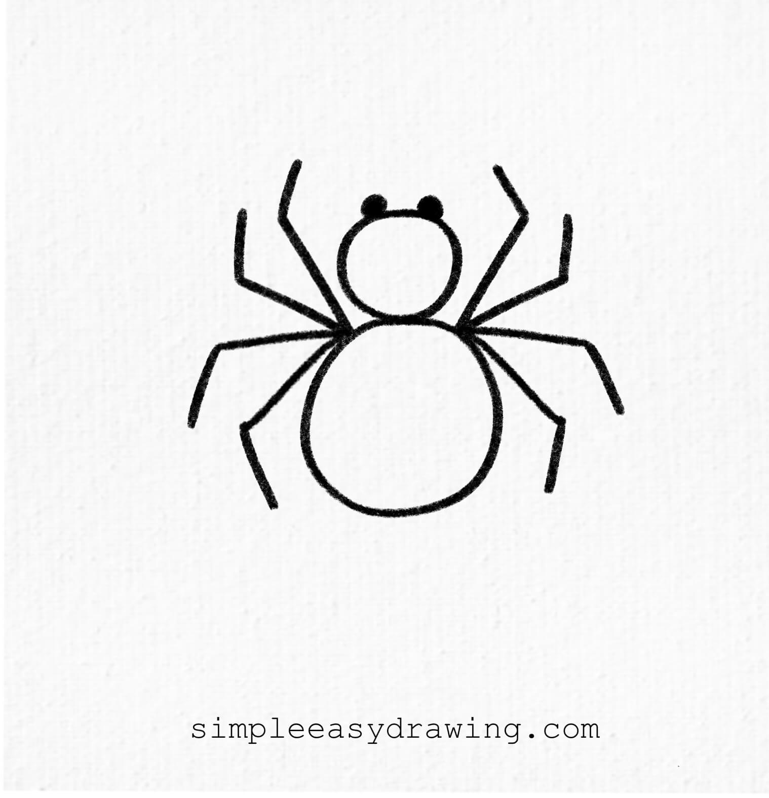 spider drawing outline