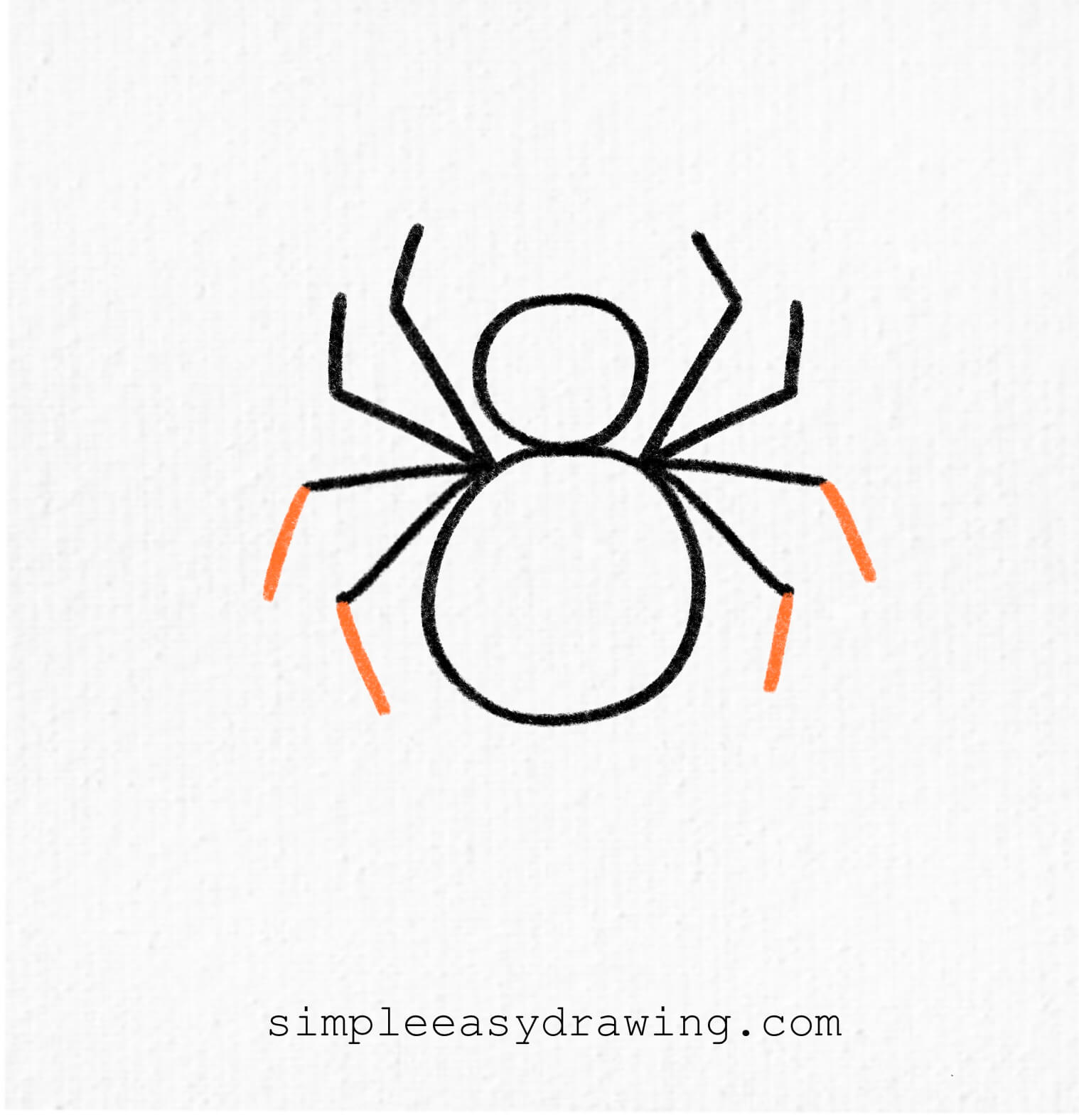 How To Draw A Spider Step By Step Simple Easy Drawing How To Draw A Spider Step By Step Simple Easy Drawing