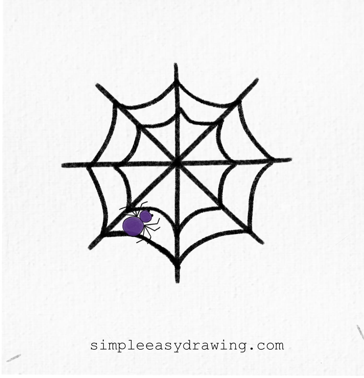 Spider on web drawing