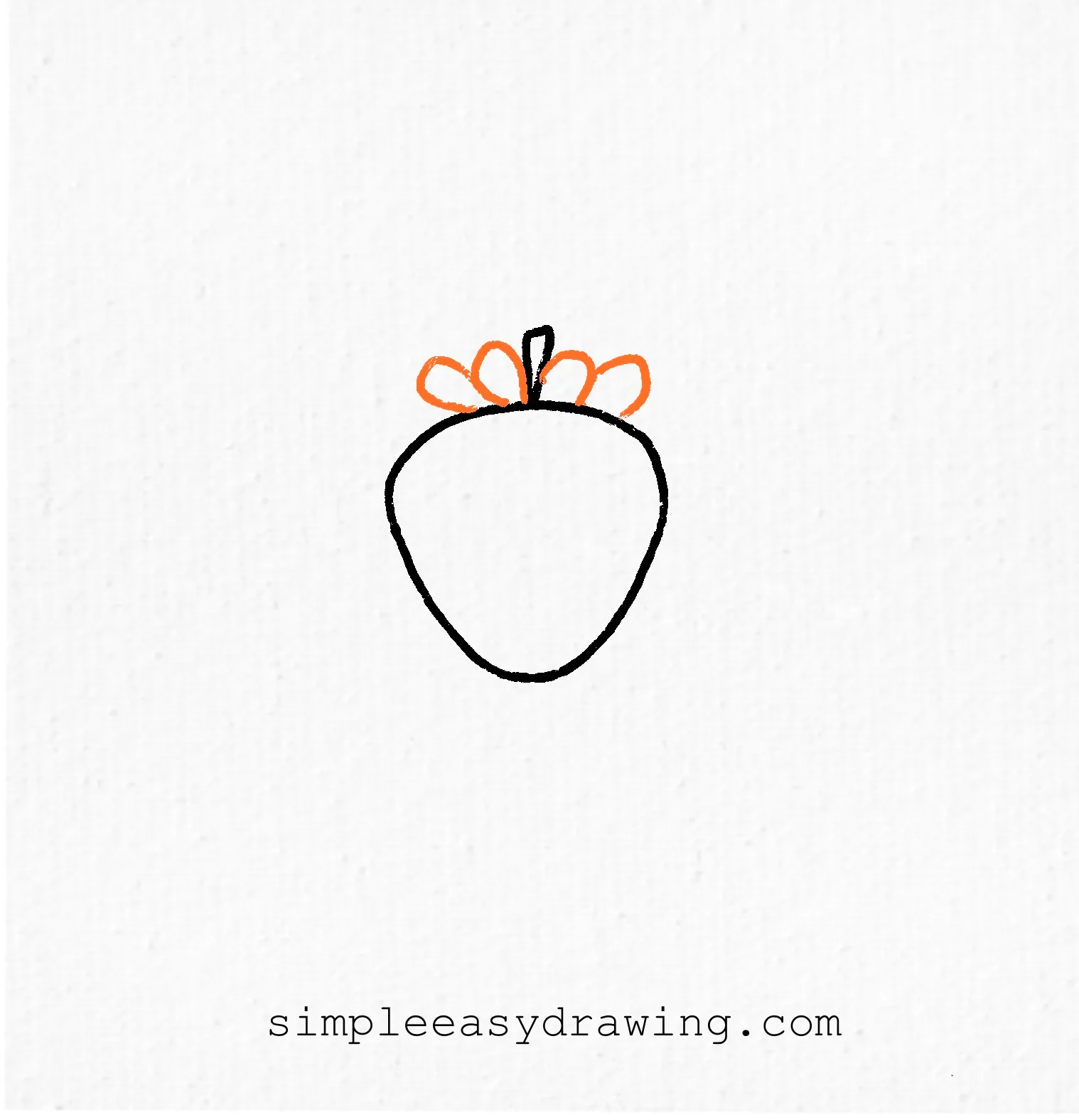 Draw the leafy crown around the stem.