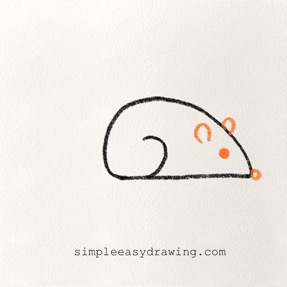 Two small ears, eyes, a tiny nose, are added to the rat’s face in orange.