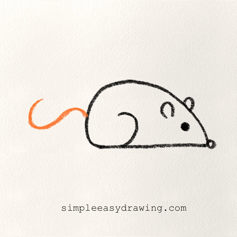 A long curved tail is drawn in orange coming out from the back of the rat’s body.