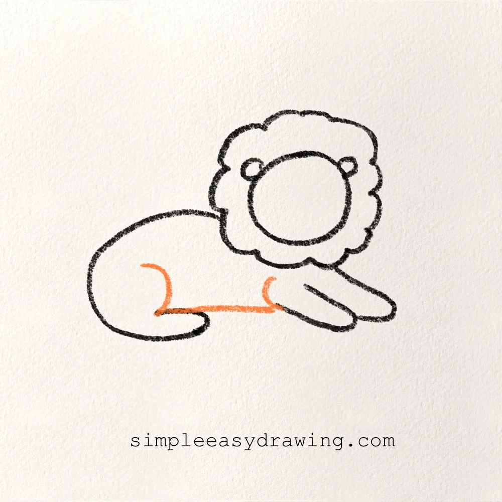 Curved belly line drawn tucked under the lion