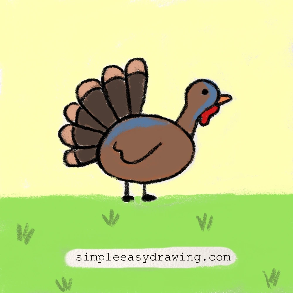 turkey drawing for kids in color