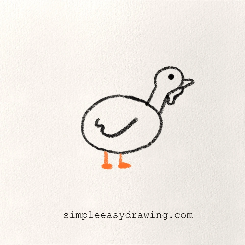 step 5 of the turkey drawing showing the turkey’s legs and small feet added below the body
