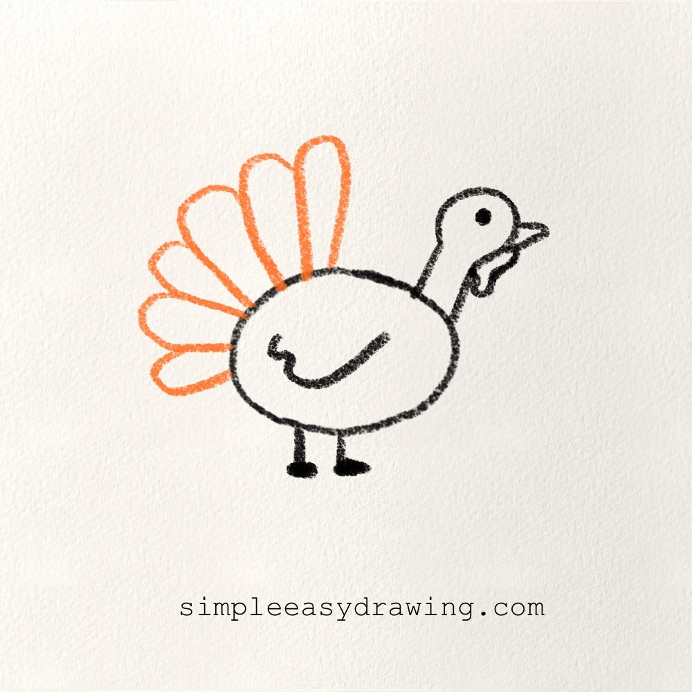 step 6 of the turkey drawing showing large fan-shaped tail feathers added behind the body