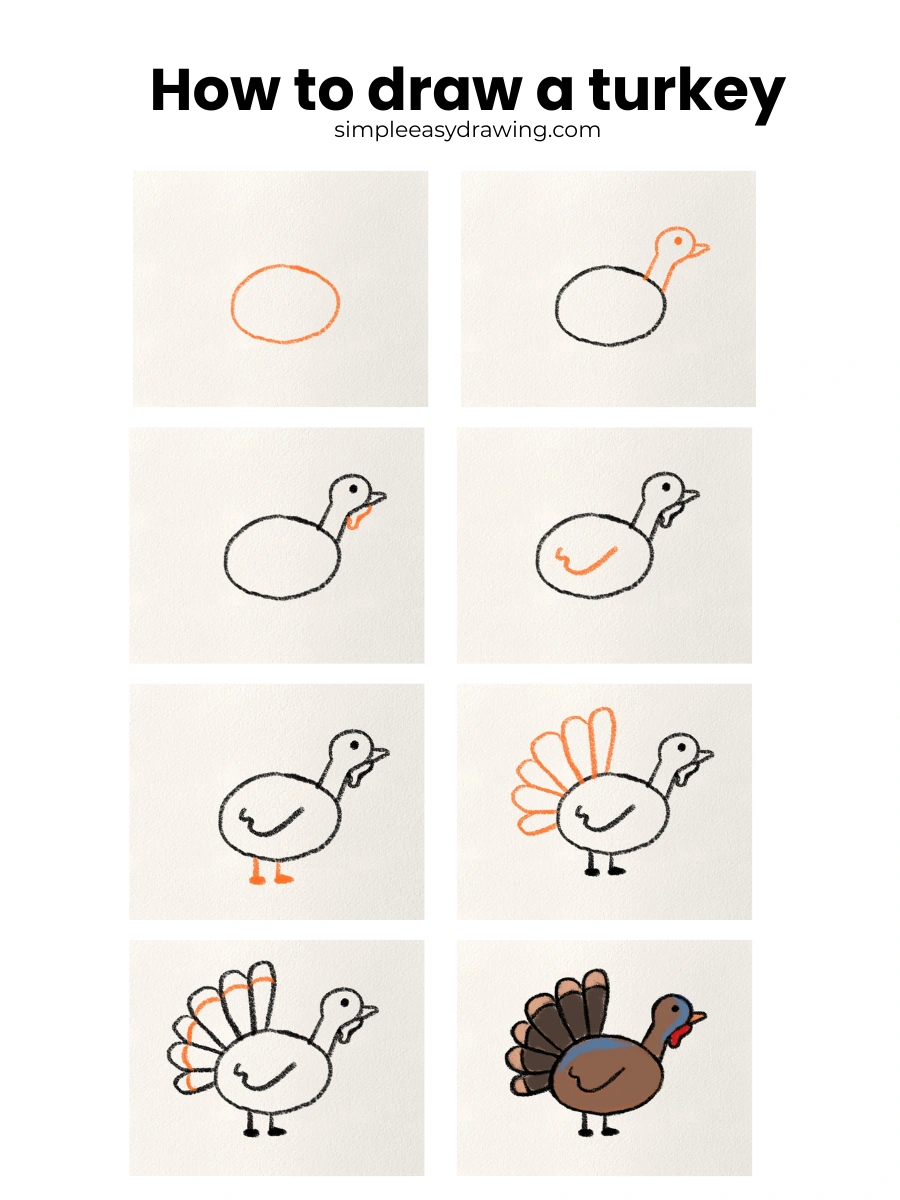 steps on how to draw a turkey
