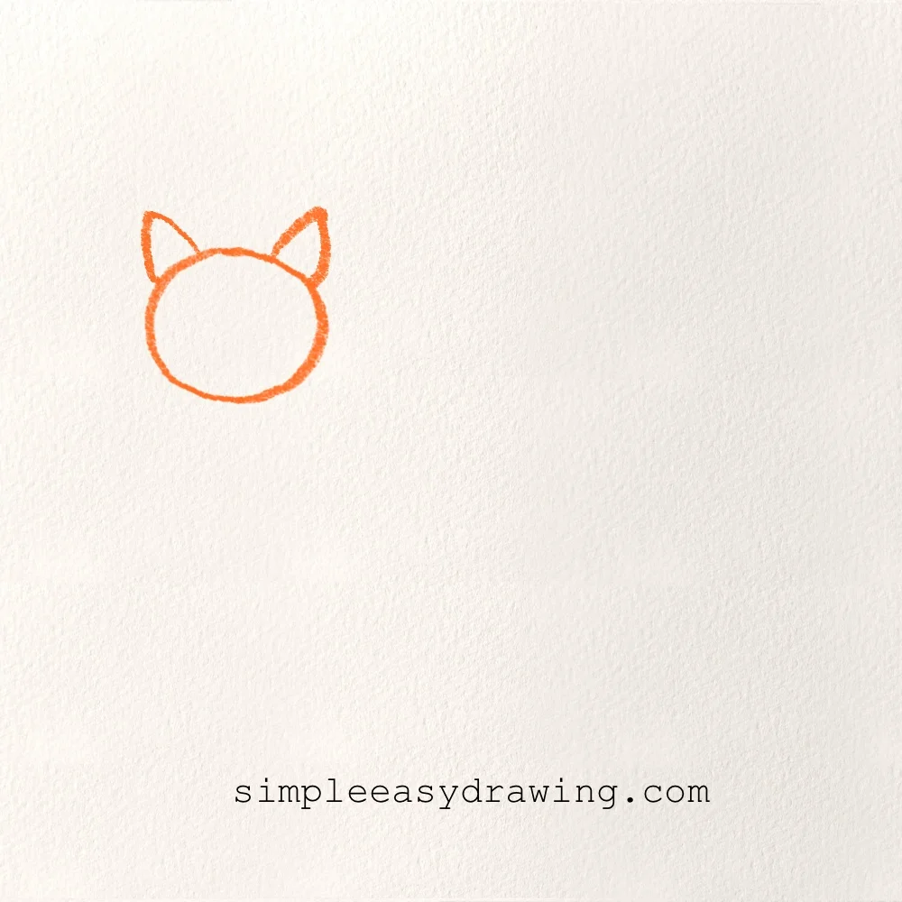 A simple fox head with two pointy ears starting the drawing