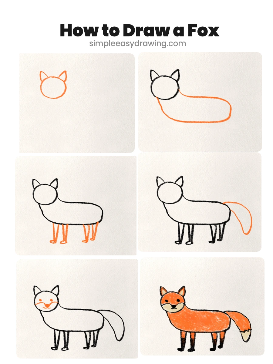 Steps on how to draw a fox