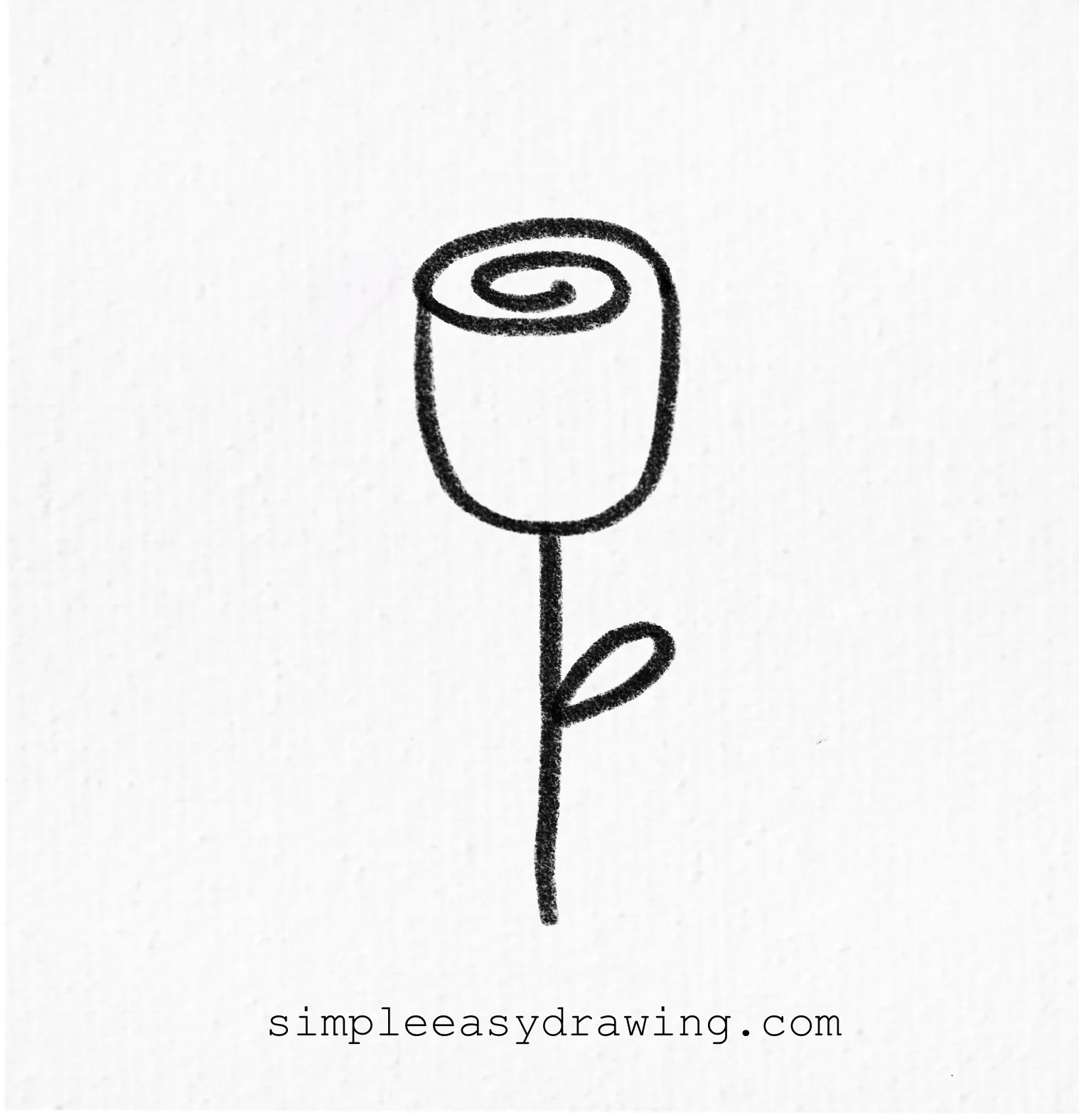 Rose drawing