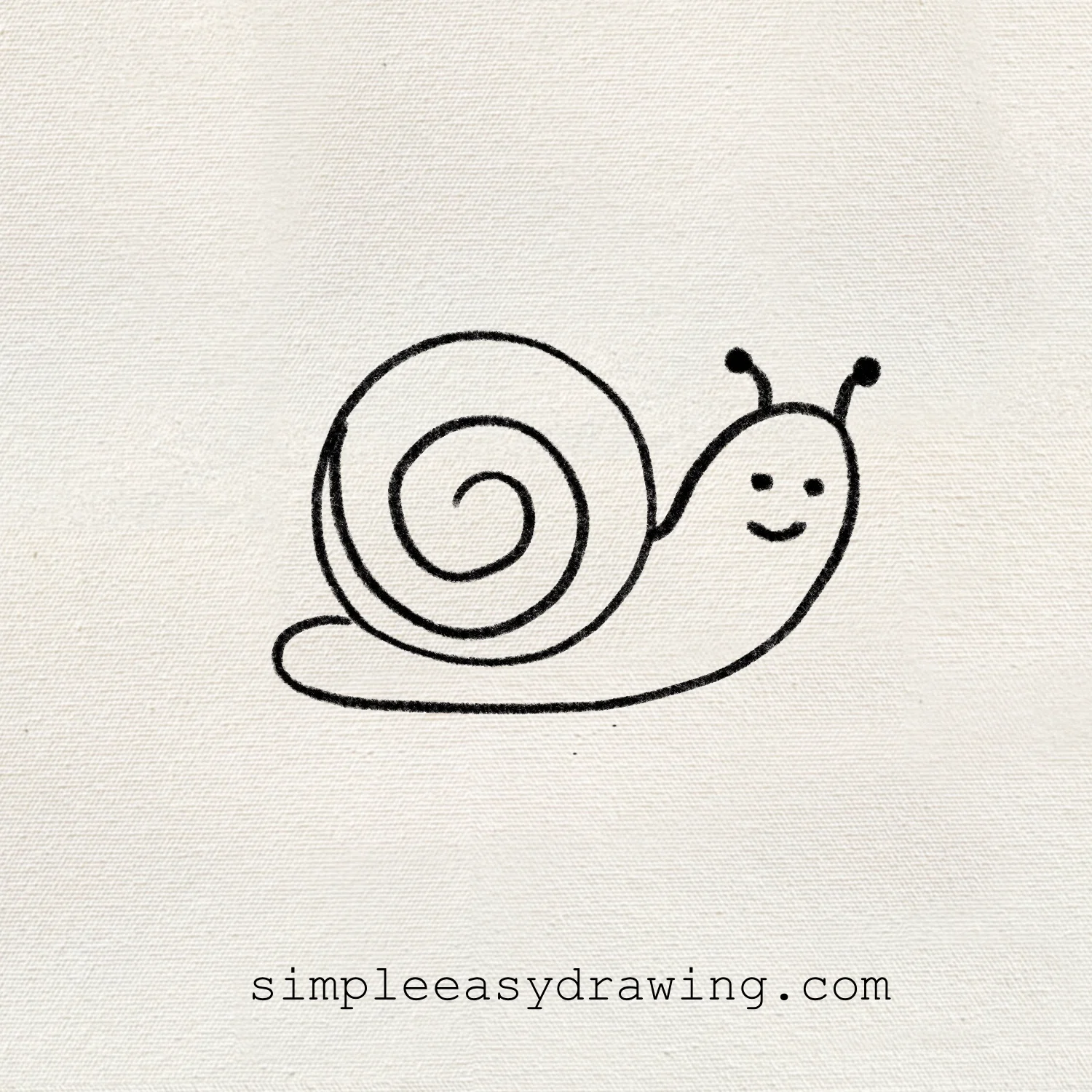 Snail drawing
