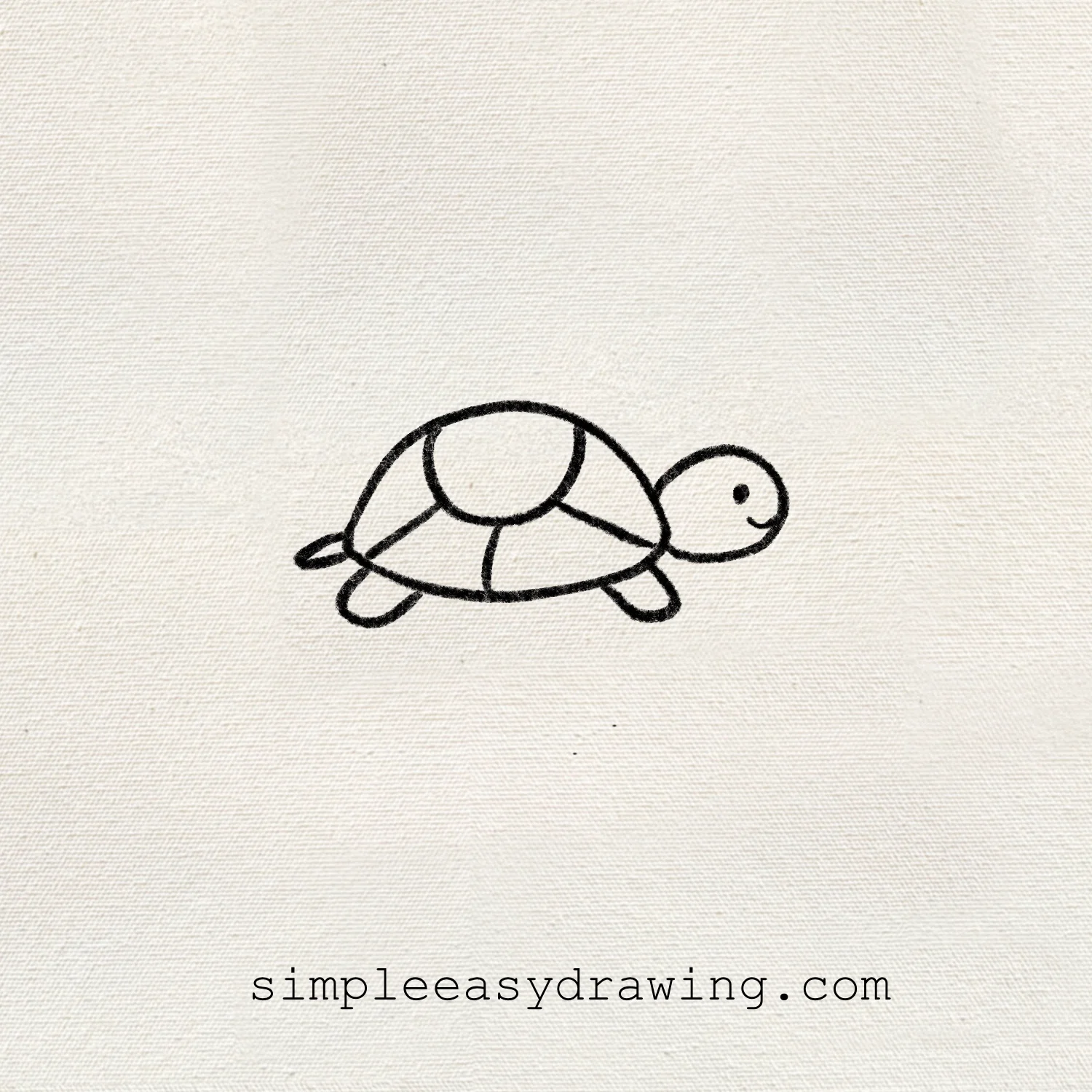 Turtle drawing