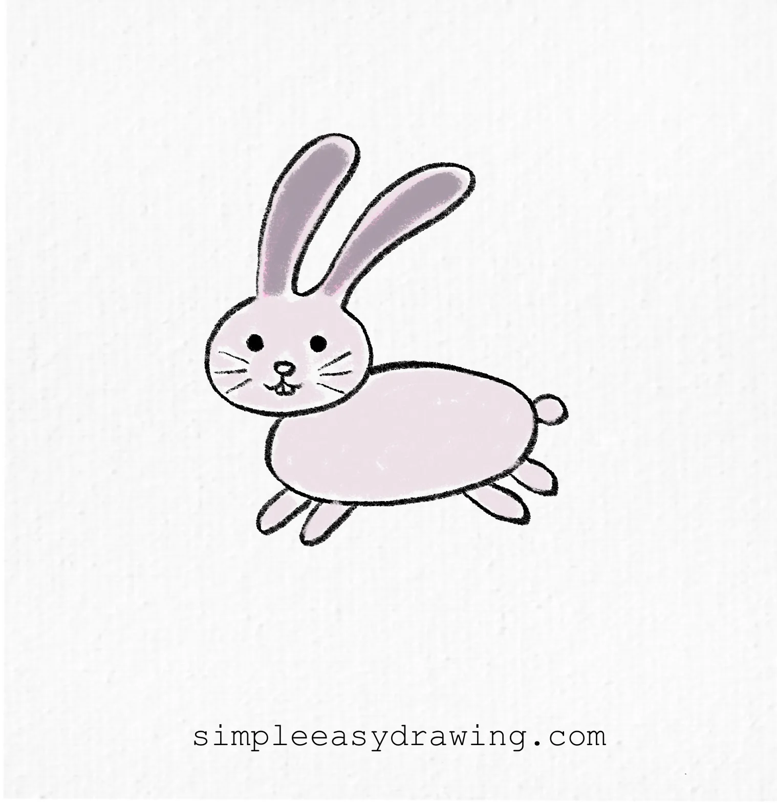 Bunny drawing with grey years