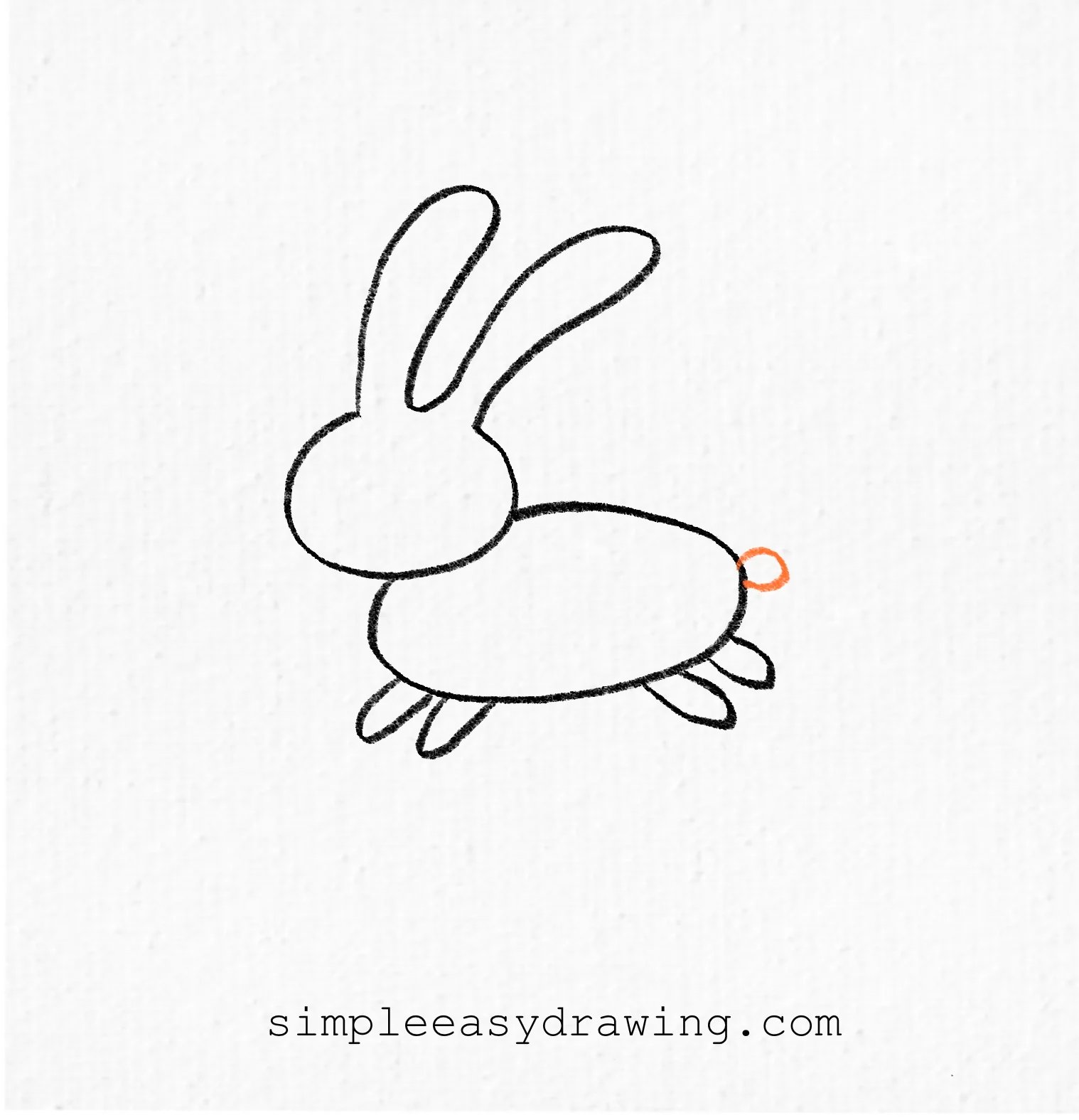 Draw a small fluffy bunny tail at the back of the body.