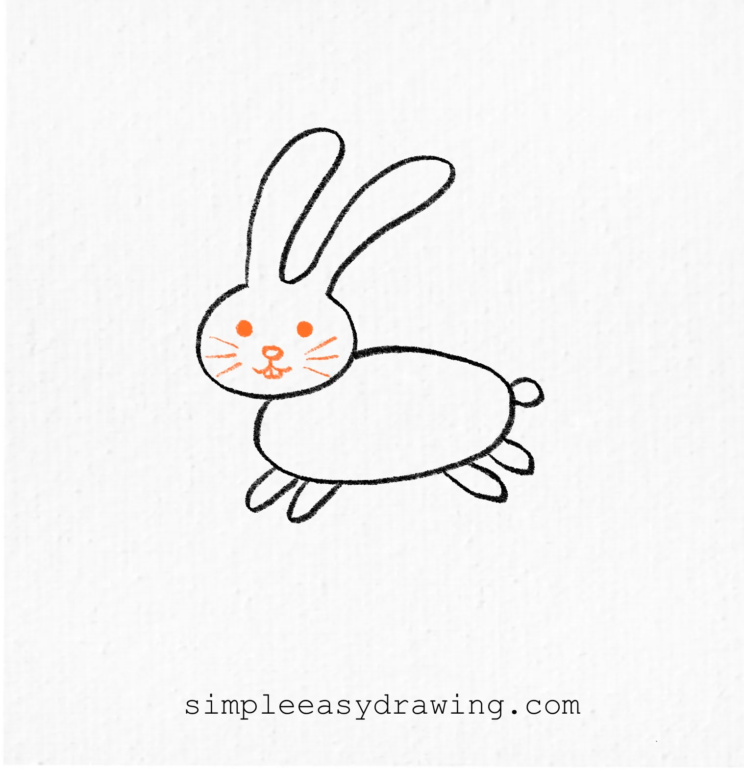 Draw the bunny's eyes, nose, smiling mouth, and whiskers.