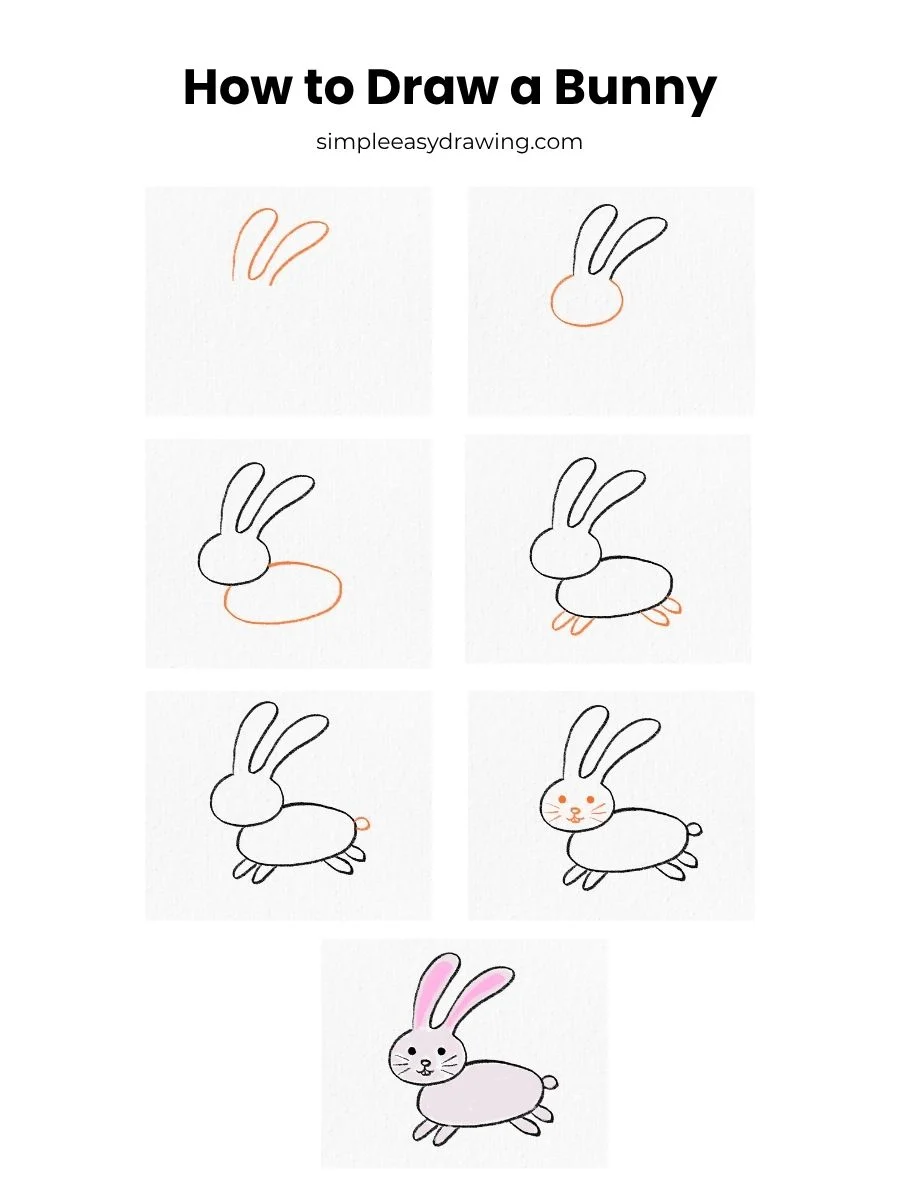 Steps on how to draw a bunny
