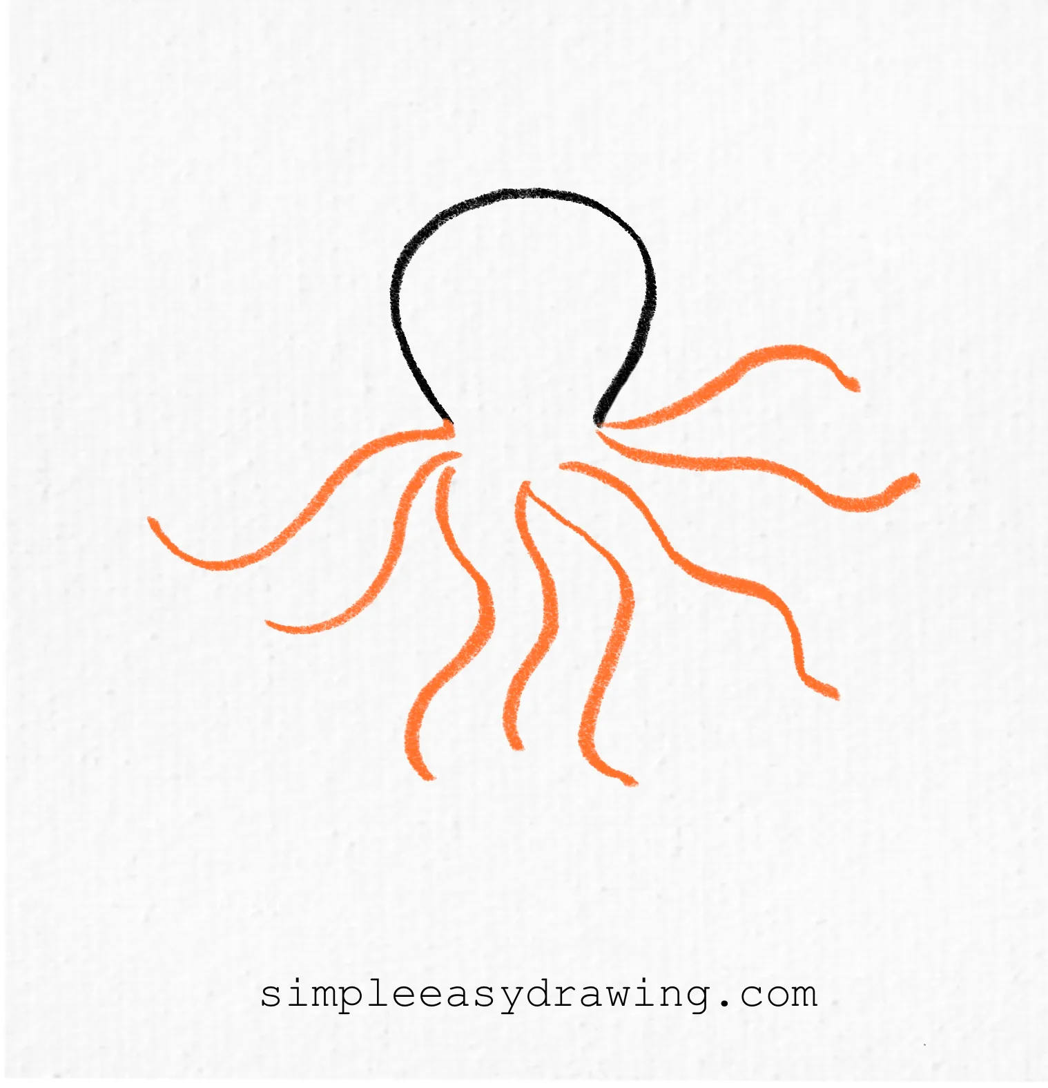 Octopus head with curved tentacle lines drawn added underneath.