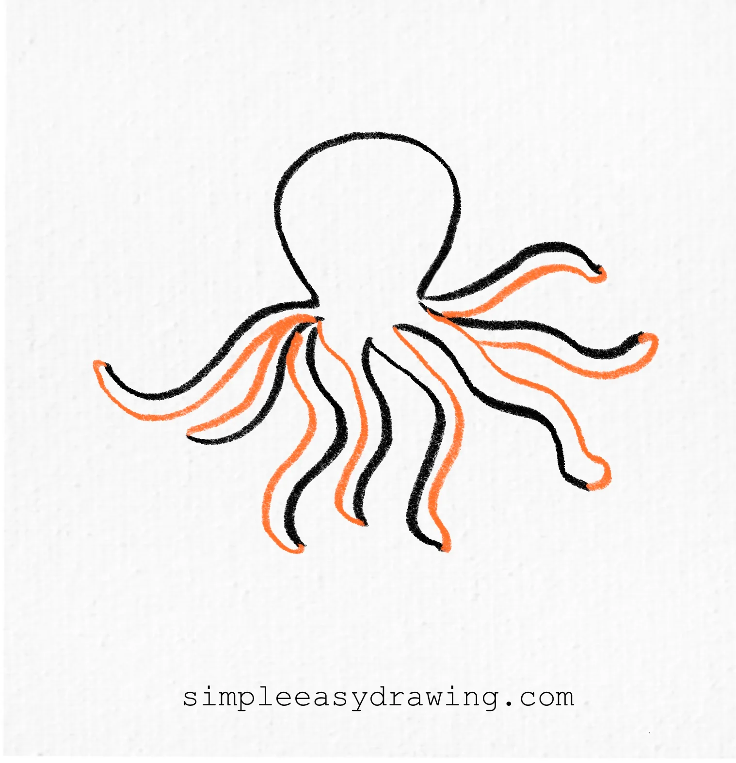 Octopus drawn with all eight tentacles outlined and connected to the head