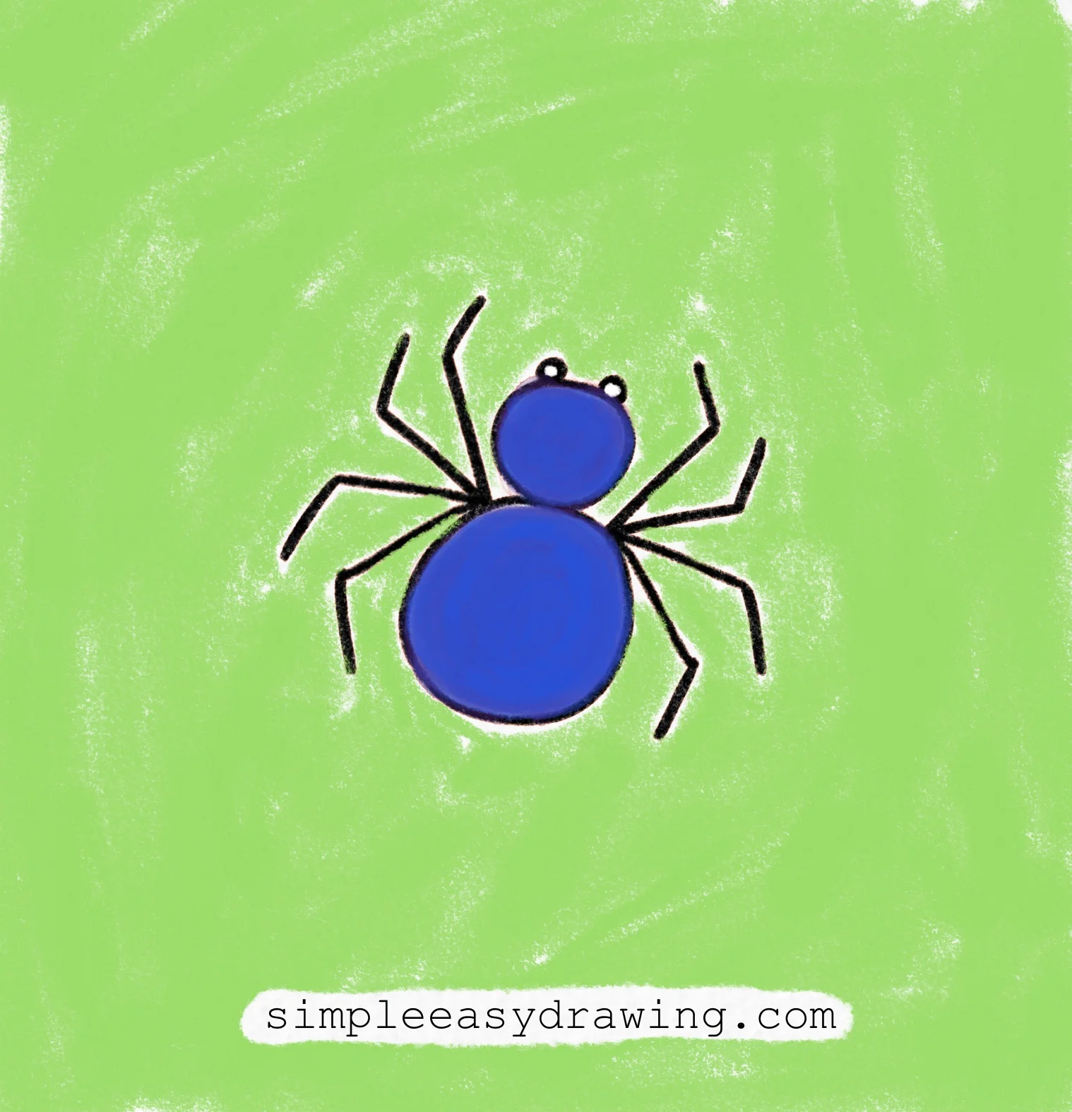 Simple spider drawing with a round body, small head, and eight legs.