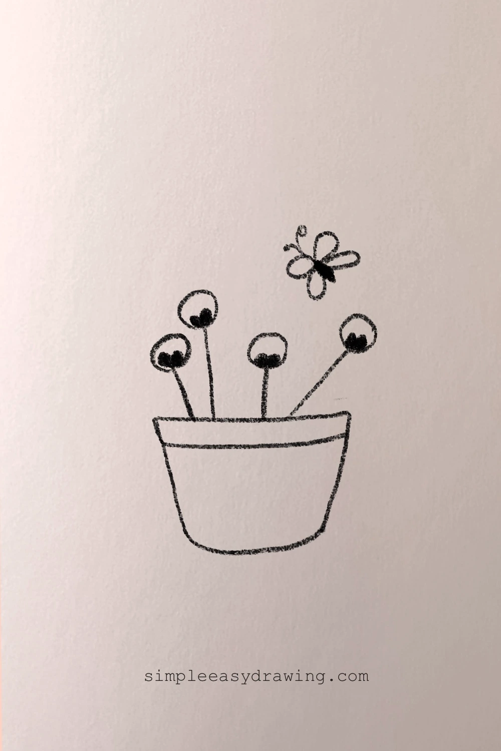 Cotton flowers and butterfly drawing